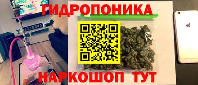 крисы Нарткала