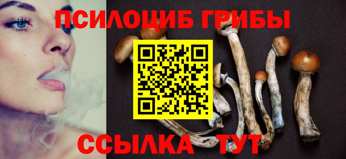 дарнет шоп  Псилоцибиновые грибы прущие грибы  Вход с VPN  Трёхгорный 